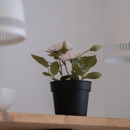 Central Apartman, Belvaros Lakas Kecskemét Buitenkant foto